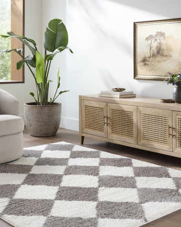 Living room scene with a gray and white checkerboard Achaia Dark Gray Area Rug, light wood cabinet, and potted plant. Roomscene-Rectangle