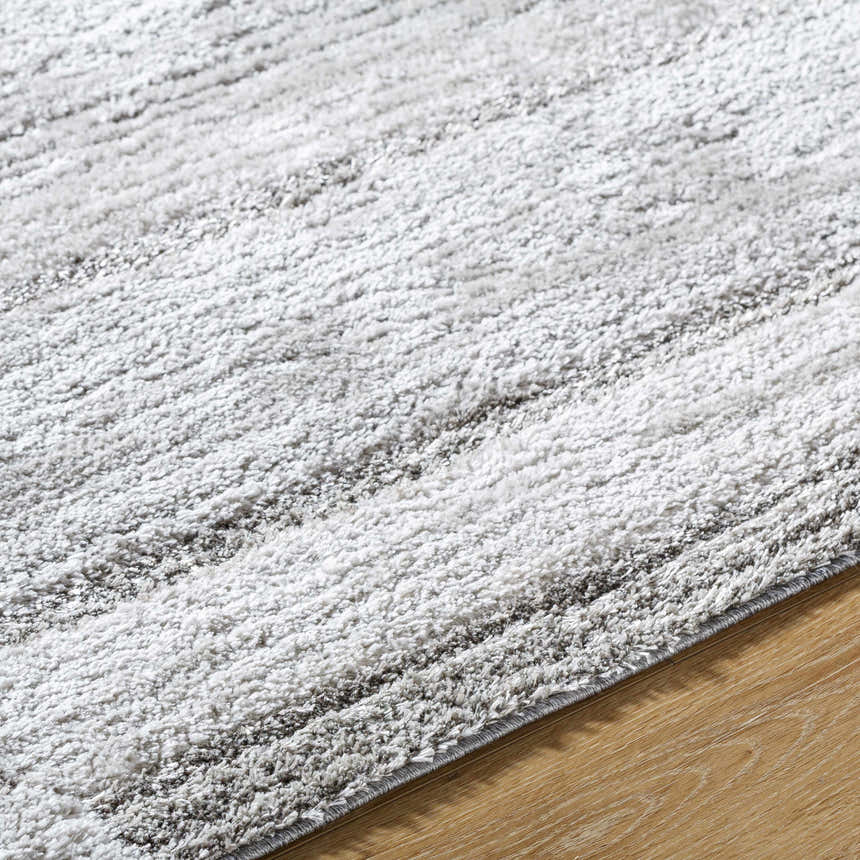 Close-up of the Tayla Shag Area Rug showing light silver, sage, and silver gray tones with a soft, textured shag pile. Texture