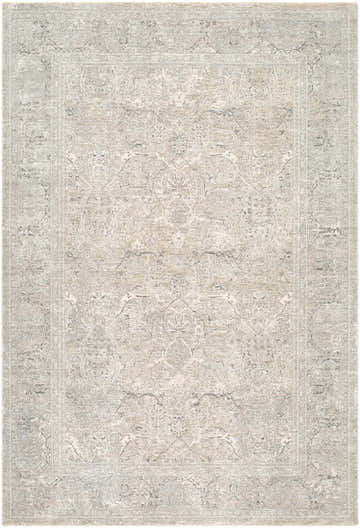 Close-up of Tarin Beige Area Rug. Farmhouse style, machine woven with ivory, medium gray, and sandstone colors. Traditional pattern. Design-Rectangle-6796
