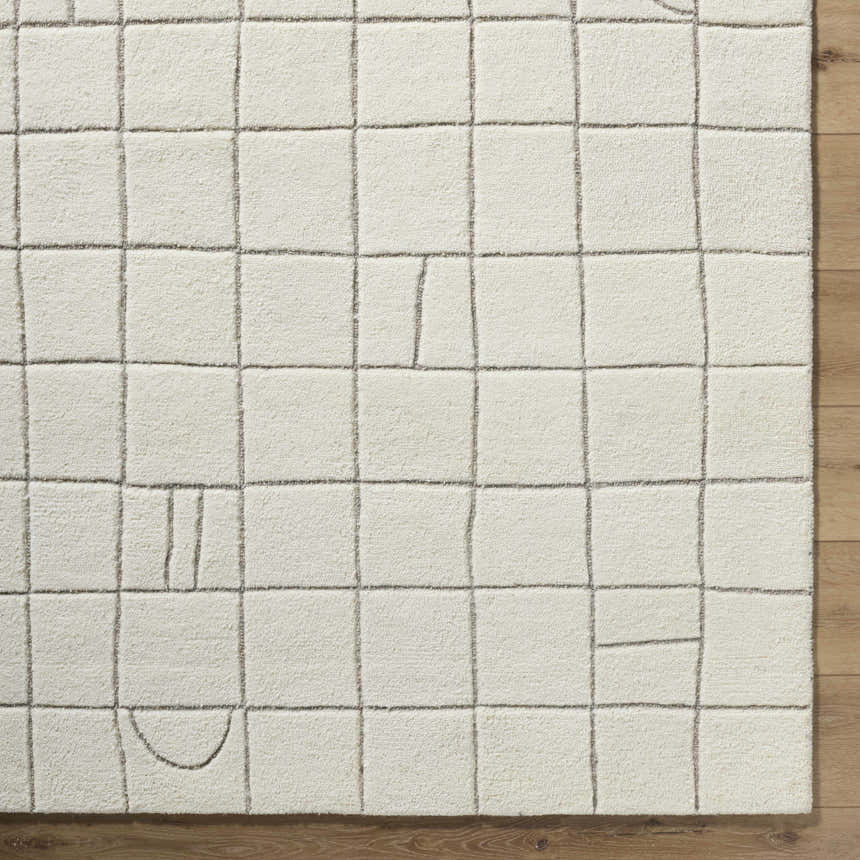 Close-up of the Tuuka Beige Area Rug showing its hand-tufted wool texture and contemporary grid design. Swatch