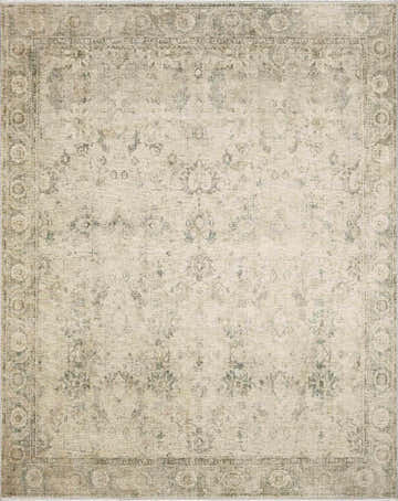 Close-up of the Fetscher II Vintage Medallion Area Rug. Beige rug with light brown, olive, and peach traditional medallion pattern. Design-Rectangle