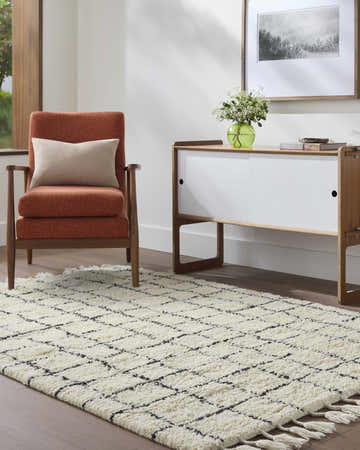 Living room scene with a light silver Venya Area Rug, rust chair, and white cabinet. Farmhouse style. Roomscene-Rectangle