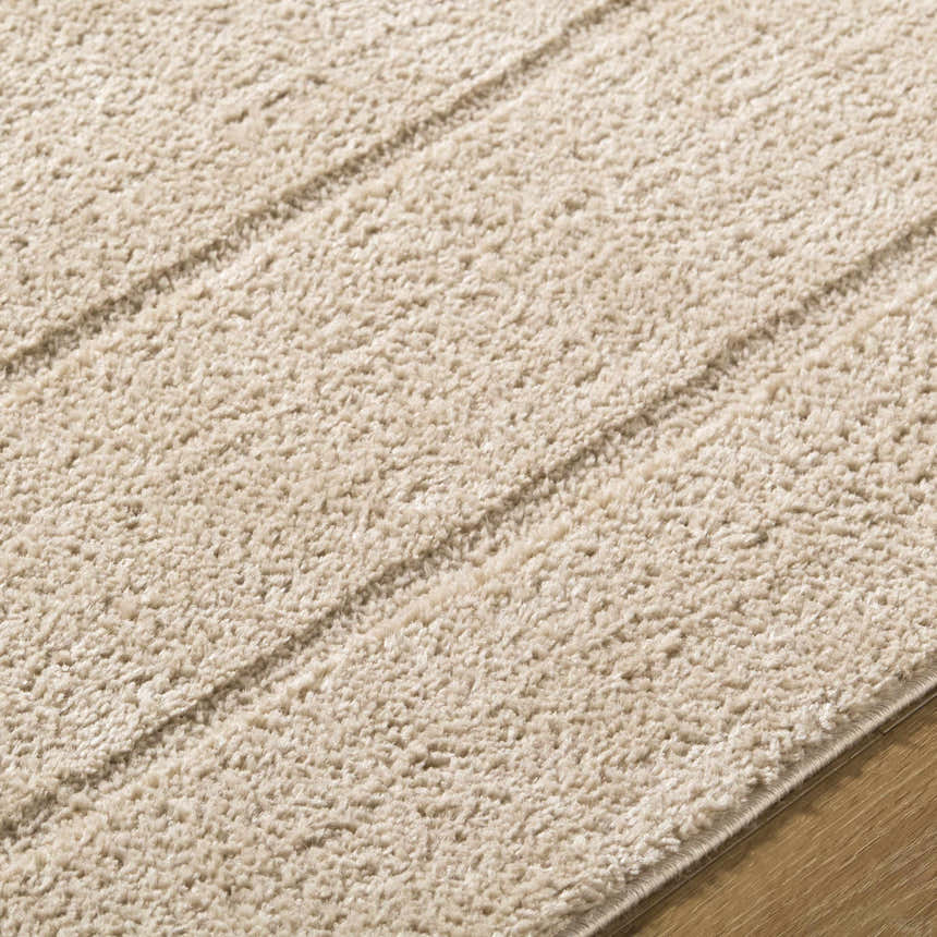 Close-up of the light brown Cascade Brown Area Rug showing its plush texture and subtle stripe design. Texture