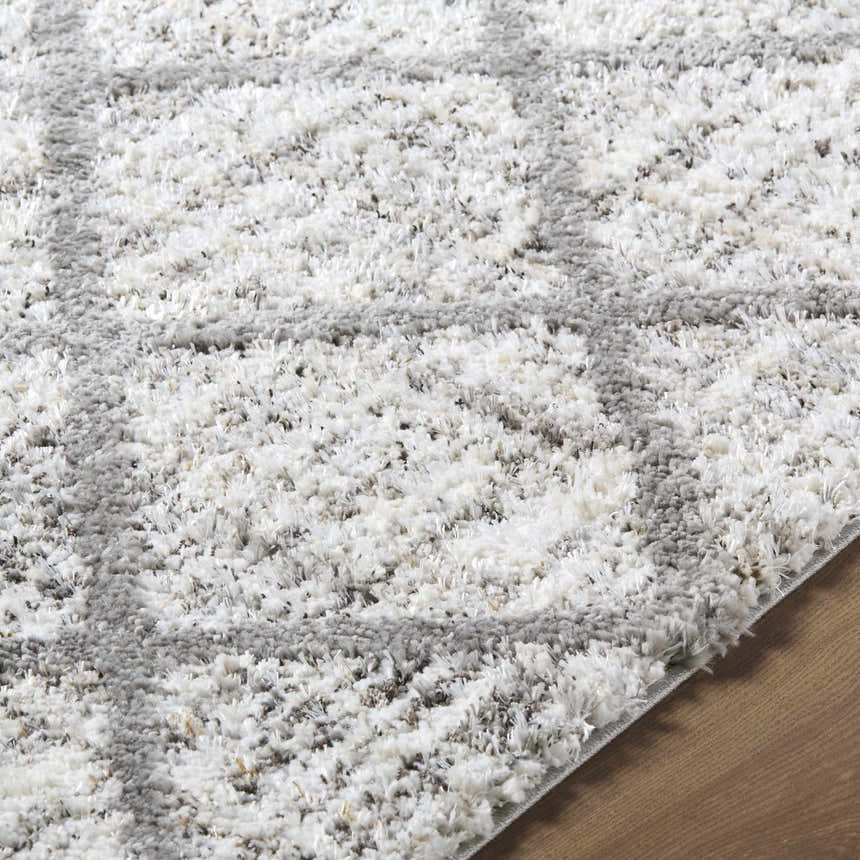 Close-up of the plush Anuhea Off White Area Rug, showing its soft texture and gray geometric pattern. Texture