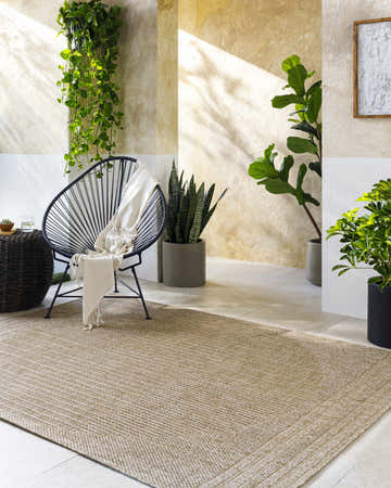Sunlit patio scene with a tan Yuley Brown Area Rug, modern chair, and potted plants. Roomscene-Rectangle