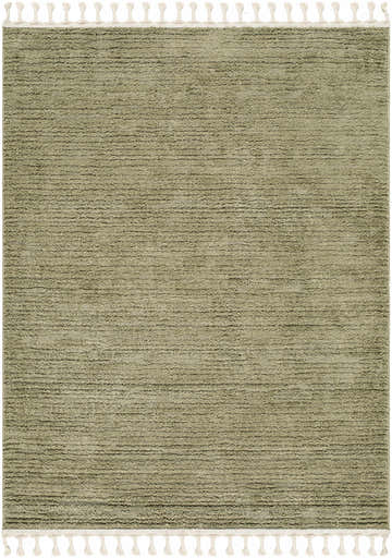 Close-up of the Annily Area Rug; olive green polypropylene rug with a subtle texture and white braided tassels. Design-Rectangle-573