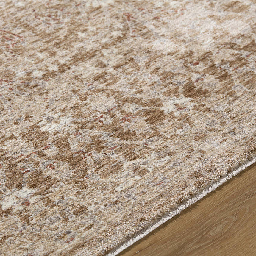 Close-up of the Ammiel Tan Area Rug showing its traditional pattern, tan, cream, and red colors, and soft texture. Texture