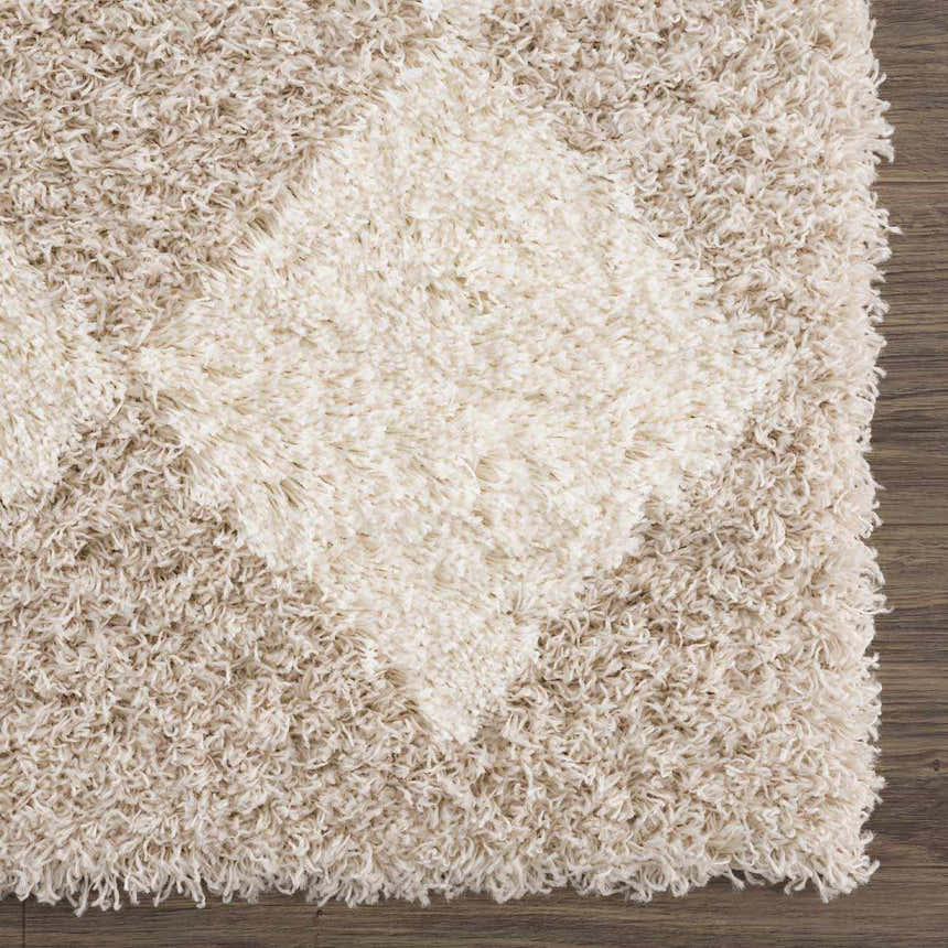 Close-up of the Zahur Cream & Beige Diamond Area Rug. Shaggy texture with a geometric diamond pattern. Swatch