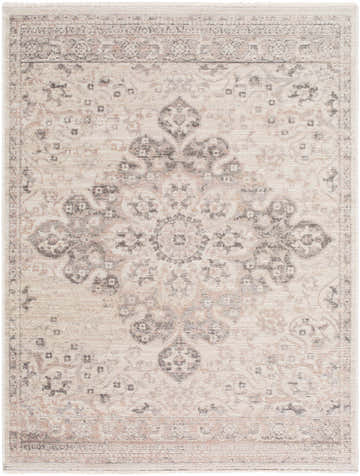 Close-up of the Alvaro Area Rug, a traditional rug in beige, charcoal, ivory, and taupe, with a central medallion design. Design-Rectangle-57