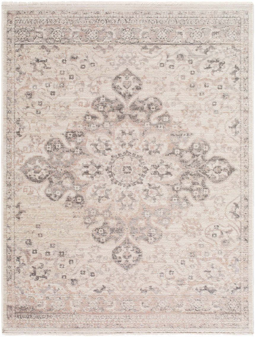 Close-up of the Alvaro Area Rug, a traditional rug in beige, charcoal, ivory, and taupe, with a central medallion design. Design-Rectangle-57