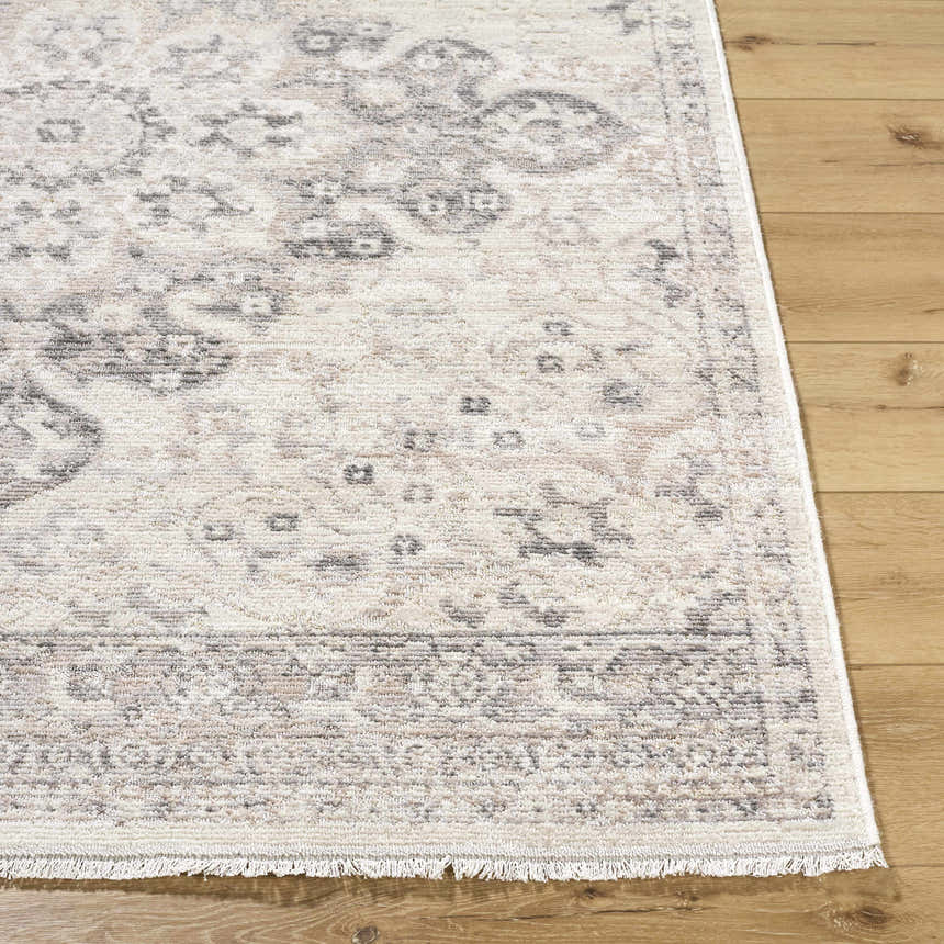 Close-up of the Alvaro Area Rug, showing its beige, charcoal, and ivory traditional pattern and soft texture. Front