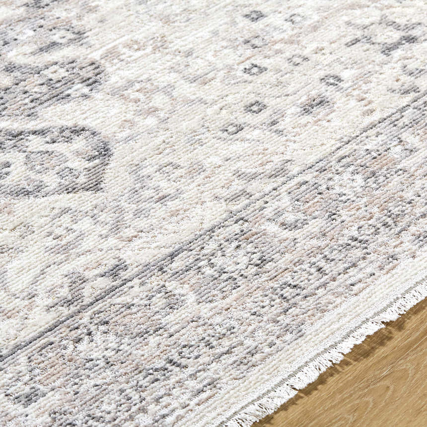 Close-up of the Alvaro Area Rug showing its traditional beige, charcoal, and ivory pattern and soft texture. Texture