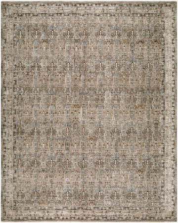 Close-up of the Ruhae Gray Persian Area Rug. Machine woven polyester rug with charcoal, brown, and gray traditional pattern. Design-Rectangle-710102