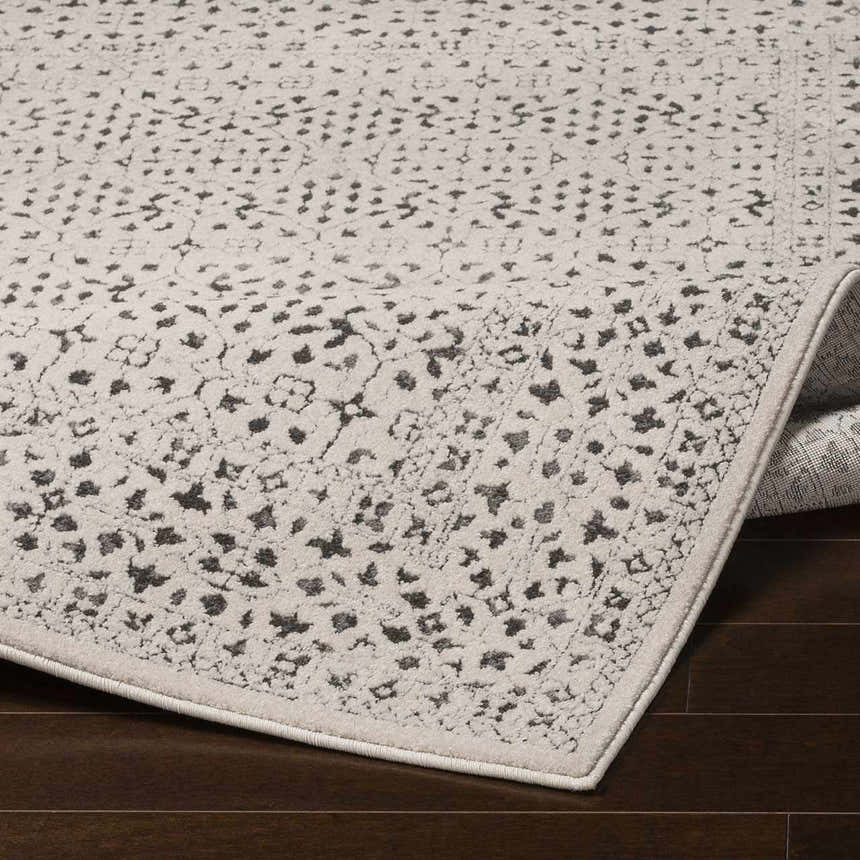 Close-up of Sattley Area Rug. Beige rug with charcoal floral-like pattern and a subtle border. Machine woven texture. Fold