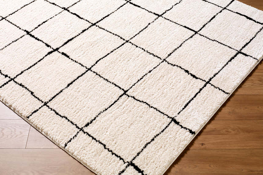 Close-up of Rivoli Elle Decor x LIVABLISS EDRV-2300 area rug. Cream rug with a black geometric diamond pattern. Corner