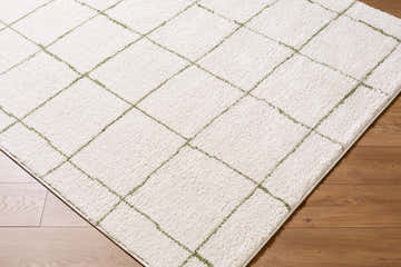Close-up of Rivoli Elle Decor x LIVABLISS EDRV-2301 Area Rug. Cream rug with olive green grid pattern on wood floor. Corner