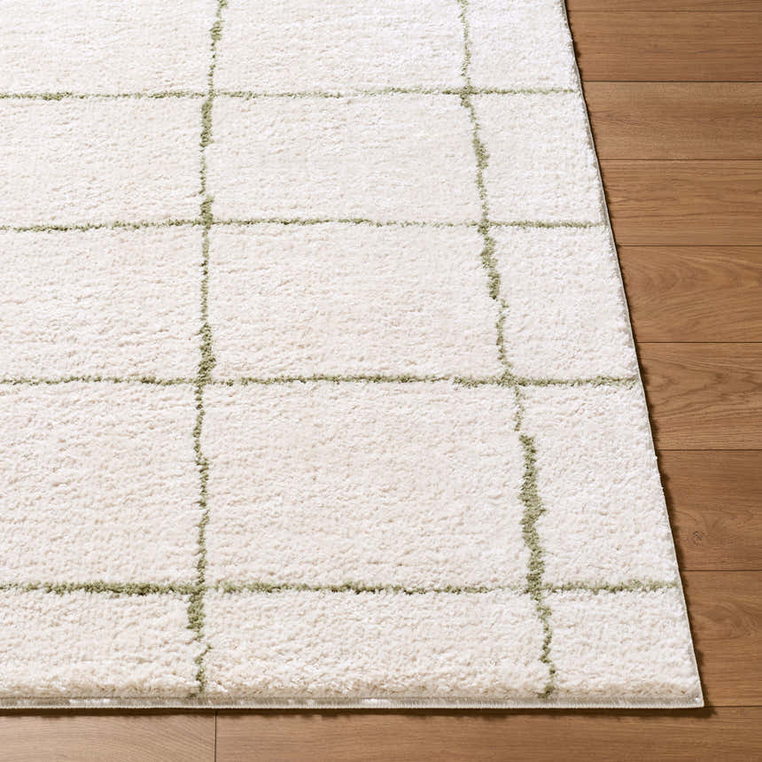 Close-up of Rivoli Elle Decor x LIVABLISS EDRV-2301 Area Rug. Cream rug with olive green grid pattern and soft texture. Front