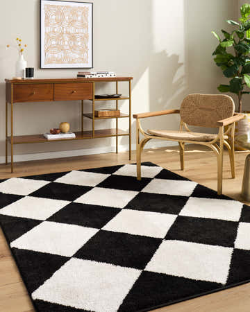Living room scene with Rivoli Machine Woven Elle Decor rug in black and cream, console table, and woven chair. Roomscene-Rectangle