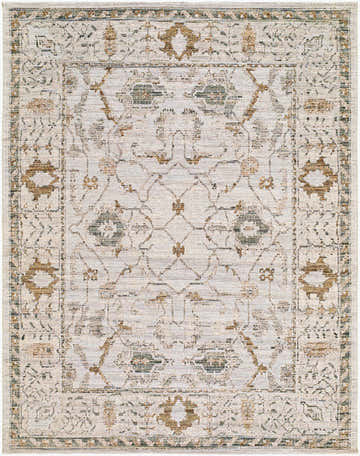 Close-up of the Jeneva Area Rug, a machine-woven rug with a traditional pattern in charcoal, ivory, sage, and sandstone. Design-Rectangle-537