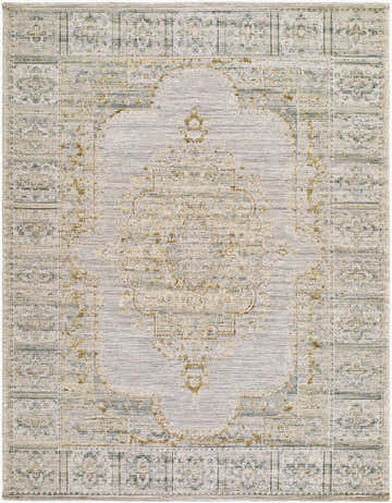 Detailed texture of the Hallan Area Rug. Traditional design in blue, gray, olive, sage, and sandstone hues. Design-Rectangle-537