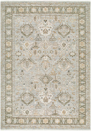 Close-up of the Haylia Area Rug. Traditional rug with beige, light gray, olive, and mustard floral and geometric patterns. Design-Rectangle-679