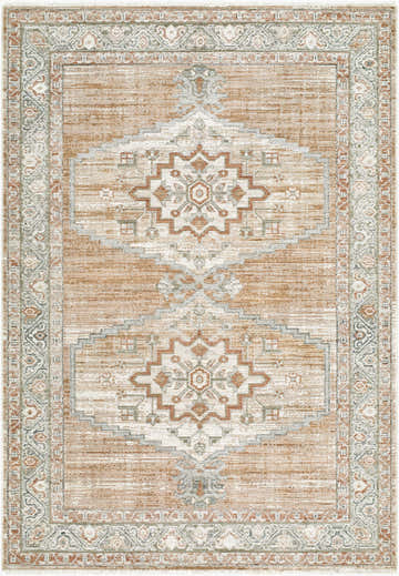 Pisi Medallion area rug, a modern rug with beige, charcoal, dark red, and rust medallion patterns. Design-Rectangle-679