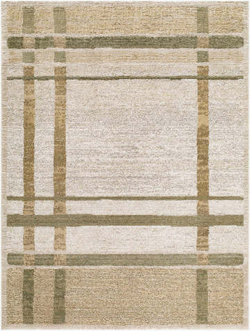 Close-up of the Harini Area Rug, showcasing its farmhouse style plaid pattern in off-white, tan, and olive. Design-Rectangle-575