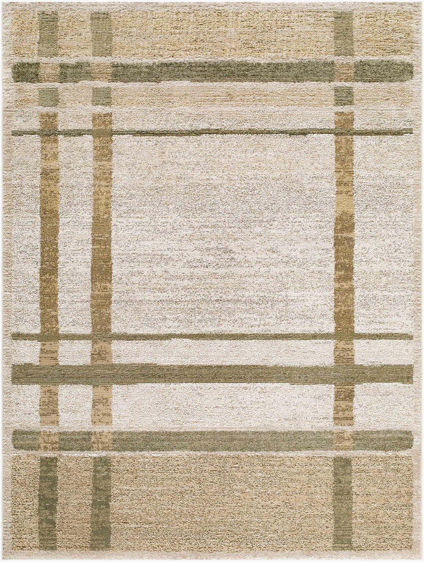 Close-up of the Harini Area Rug, showcasing its farmhouse style plaid pattern in off-white, tan, and olive. Design-Rectangle-575