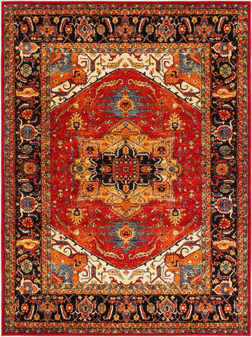 Detailed Malpas Area Rug featuring a traditional oriental design in red, black, orange, and blue. Design-Rectangle-710106
