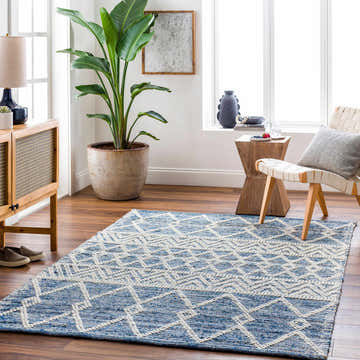 Living room scene with a blue and white geometric Nala Area Carpet, light wood furniture, and a large potted plant. Roomscene-Rectangle