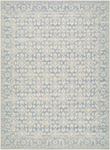 Close-up of Aram Nabela Noor Home x LIVABLISS NBAR-2302 Area Rug. Beige, denim, and pale blue traditional pattern. Design-Rectangle-527