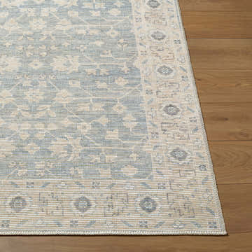 Close-up of Asha Machine Woven Nabela Noor rug showing traditional sky blue and off-white pattern and jute texture on wood floor. Front