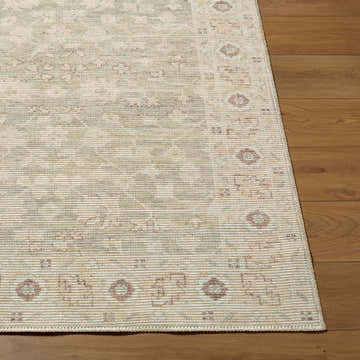 Close-up of Asha Machine Woven Nabela Noor rug showing sage, off-white, and mustard farmhouse pattern and jute-polyester texture. Front
