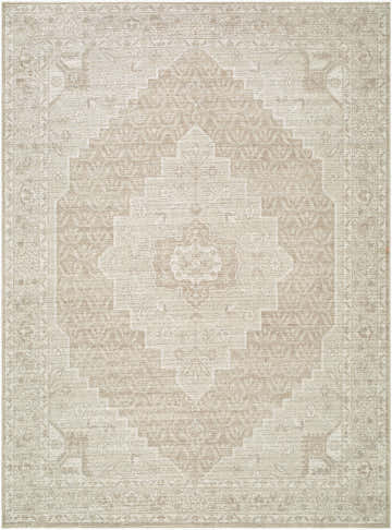 Close-up of Athiyo Nabela Noor Home x LIVABLISS NBAT-2300 area rug. Machine woven polyester rug in ivory, medium gray, and tan. Design-Rectangle-527