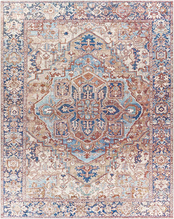 Detailed Neyland Iris Olive & Brown Area Rug 2360. Traditional oriental rug with brown, cream, blue, and red colors. Design-Rectangle-7696
