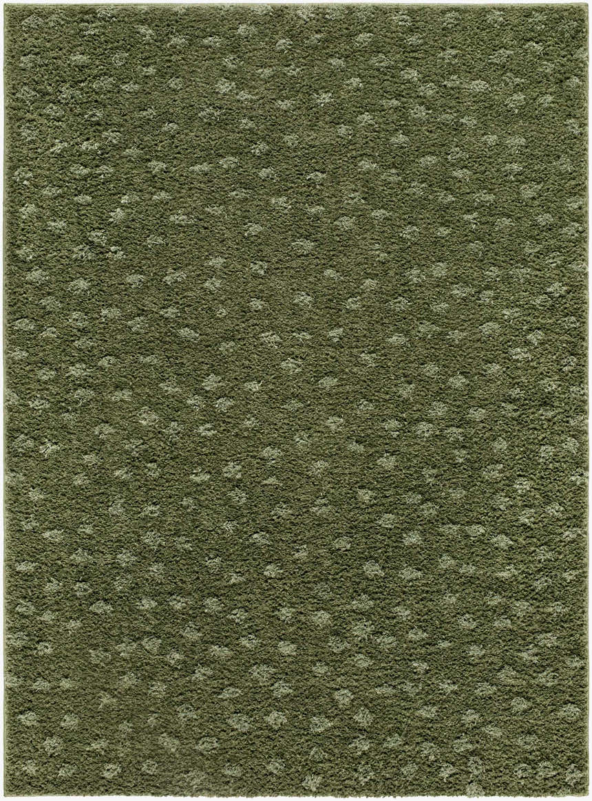 Close-up of the Cansu Area Rug. Machine woven polyester rug in shades of green with a subtle dotted pattern. Design-Rectangle-537