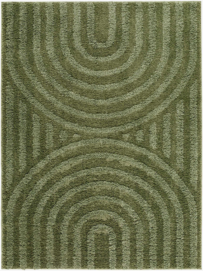 Close-up of the Arnel Area Rug, featuring a contemporary green arched and striped pattern. Design-Rectangle-537