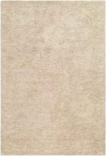 Close-up of the Lnahhe Abstract Modern Hand Tufted Wool Area Rug. Beige, cream, and sandstone tones with subtle abstract pattern. Design-Rectangle-576