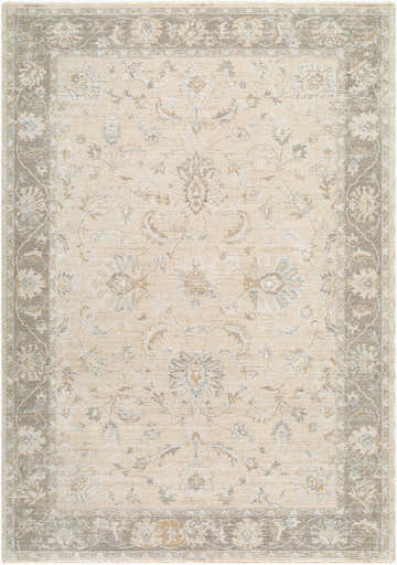 Close-up of the Vintage Edit Rachel Zoe x LIVABLISS RZVE-2304 Area Rug. Beige, cream, and gray floral pattern with traditional border. Design-Rectangle-6796
