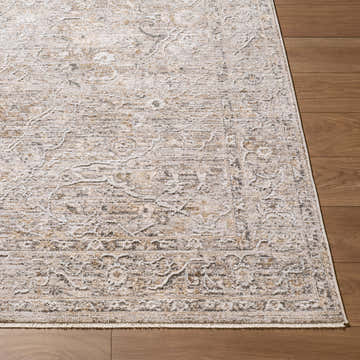 Close-up of the Logao Light Gray Persian rug showing its traditional pattern, beige, cream, and gray colors, and soft polyester texture. Front