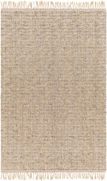 Close-up of the Amiel Beige Rug. Hand woven texture in clay, dark gray, khaki, light peach, and walnut with fringe. Design-Rectangle-576