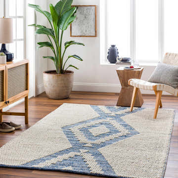 Living room scene with a Ziya Area Carpet in blue and off-white, woven texture, wood furniture, and a large potted plant. Roomscene-Rectangle