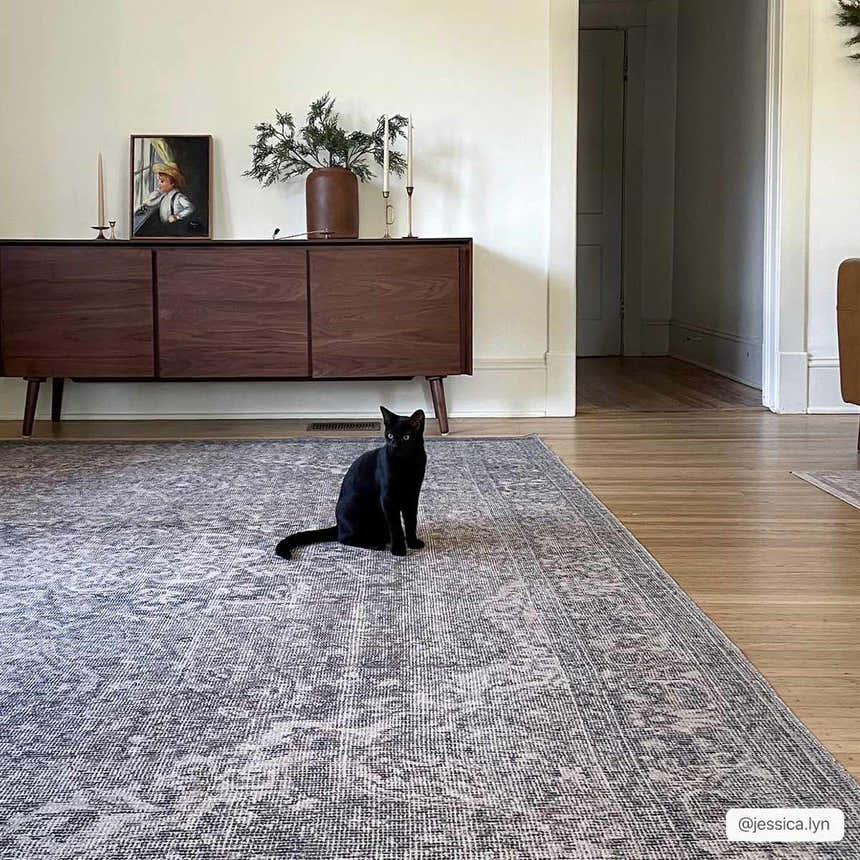 Living room scene with a black cat sitting on the Greenpoint Dusty Blue Washable Rug. Wood floors and mid-century modern furniture. Roomscene-Rectangle