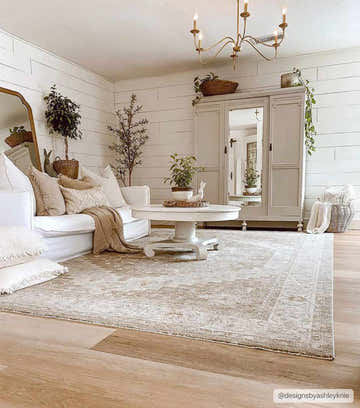 Farmhouse living room with white sofa and Canadensis Traditional Turkish Rug in light beige and gray tones. Roomscene-Rectangle
