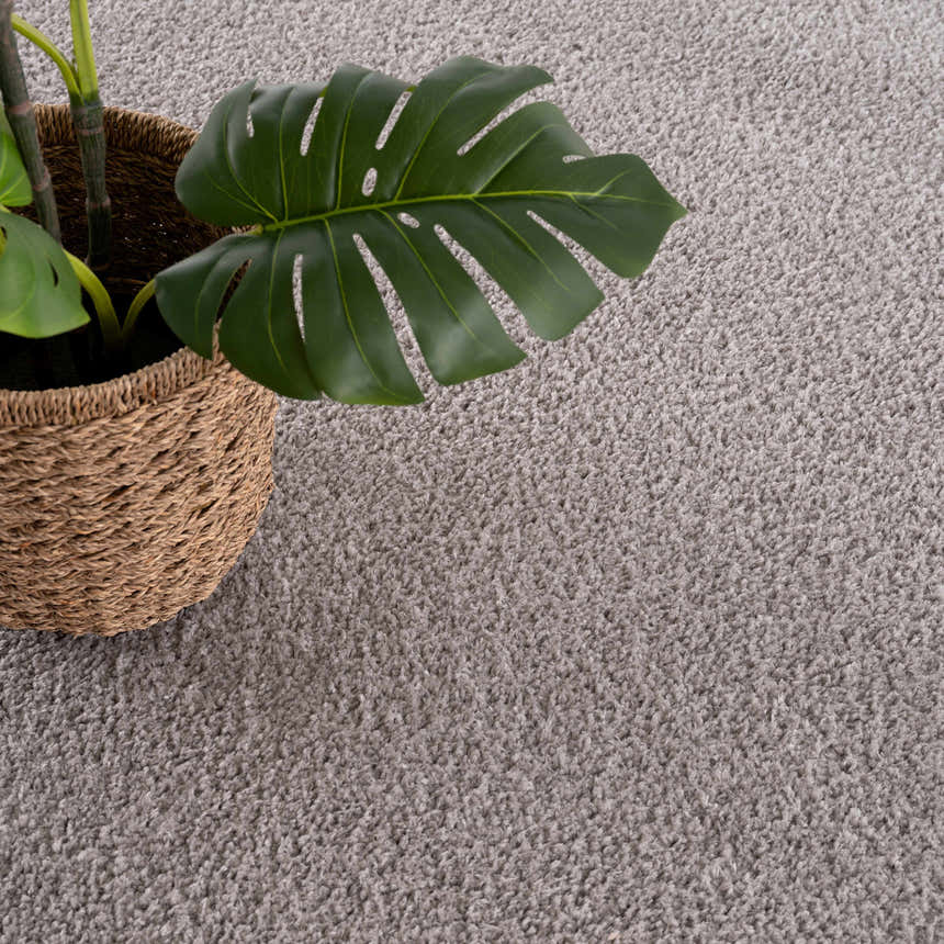 Close-up of the Judy Solid Gray Washable Shag Rug showing its soft texture and light gray color, styled with a potted plant. Styleshot