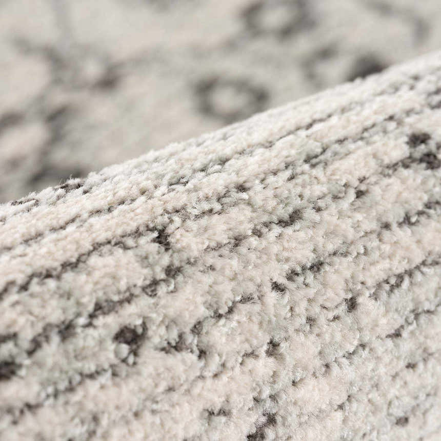 Close-up of the Paicines Area Rug showing its light beige, gray and charcoal traditional pattern and soft, textured pile. Fold