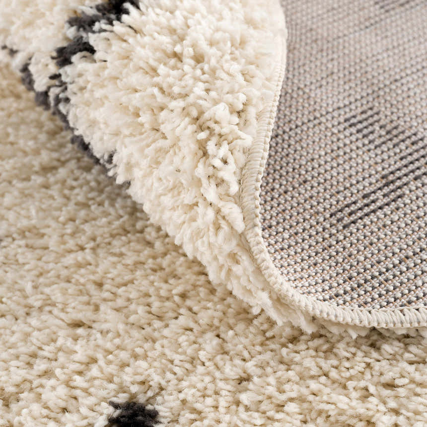 Close-up of the Alstead Shag Area Rug showing its plush beige pile, charcoal accents, and durable machine-woven backing. Fold