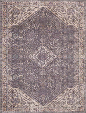 Detailed beige and gray Seok Washable Area Rug with a traditional Persian-inspired design. Design-Rectangle-46