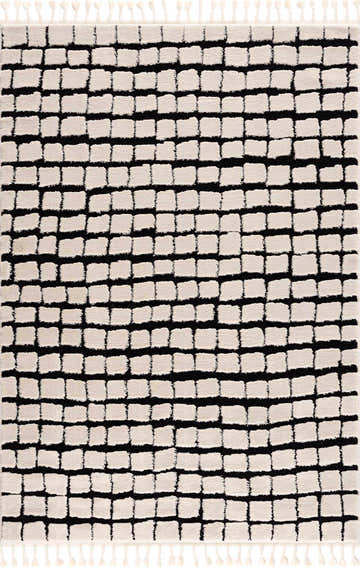 Close-up of the Teshi Checkered Area Rug. Beige and black geometric pattern with a textured, machine-woven design. Design-Rectangle-46