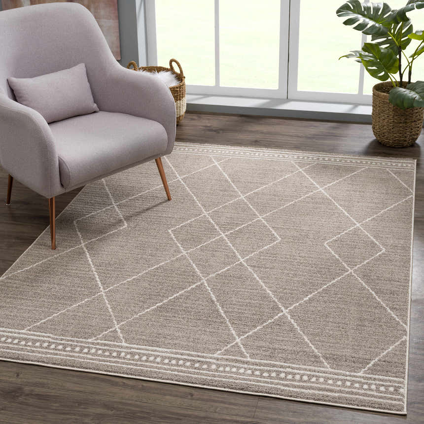 Living room scene with a beige Kami Area Rug, gray chair, and a potted plant near the window. Roomscene-Rectangle